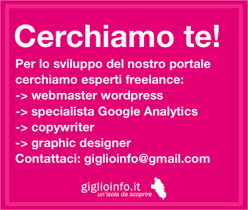 cerchiamo esperti webmaster, copywriter, graphic designer, googl analytics specialista