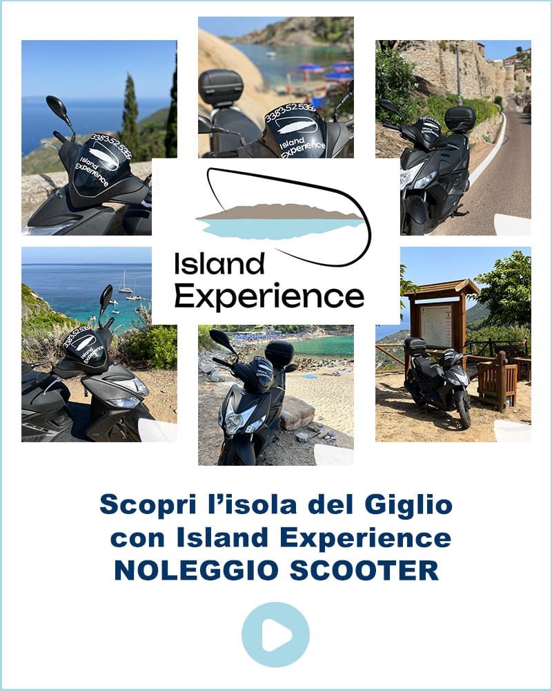 Banner Island Experience Noleggio Scooter