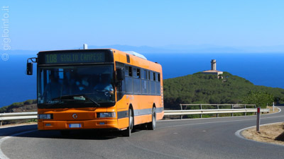 Autobus Isola del Giglio