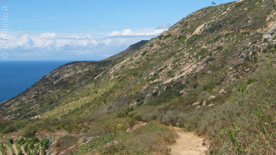 Hiking path on the western coast of Giglio Island