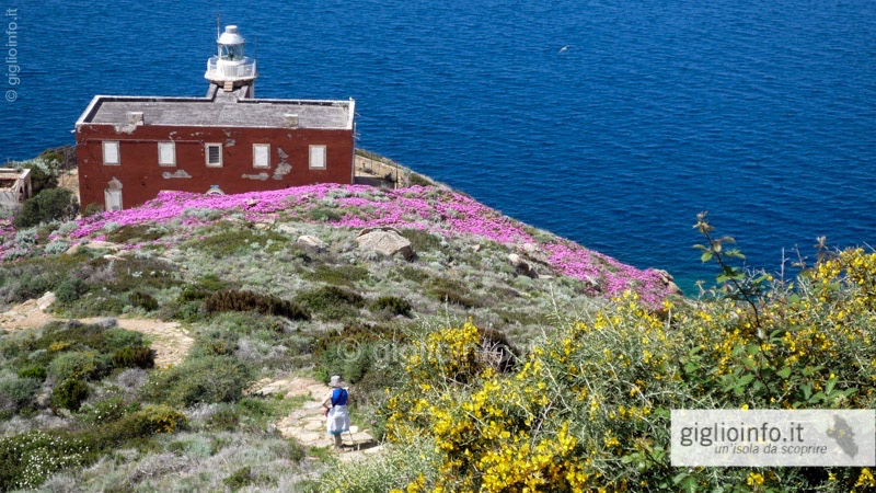 Hiking Path Giglio Island