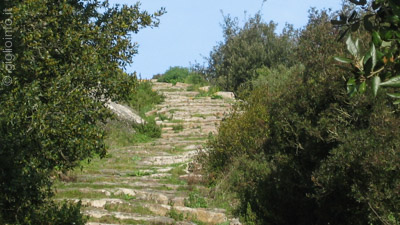 Wanderweg 1 Mulattiera Giglio Castello