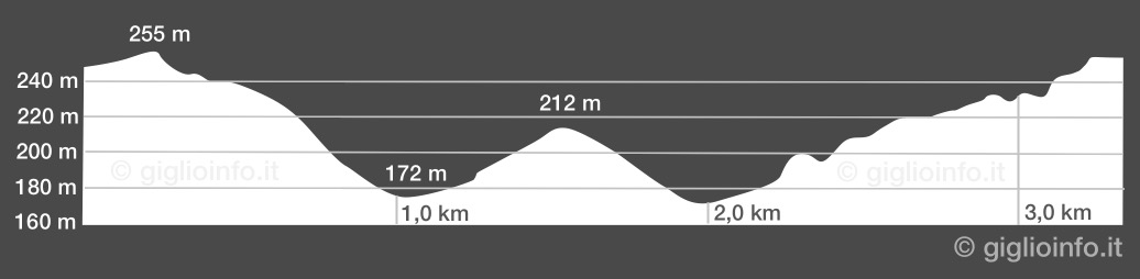 altitude differences trail  04 Vaccarecce - Scopeto