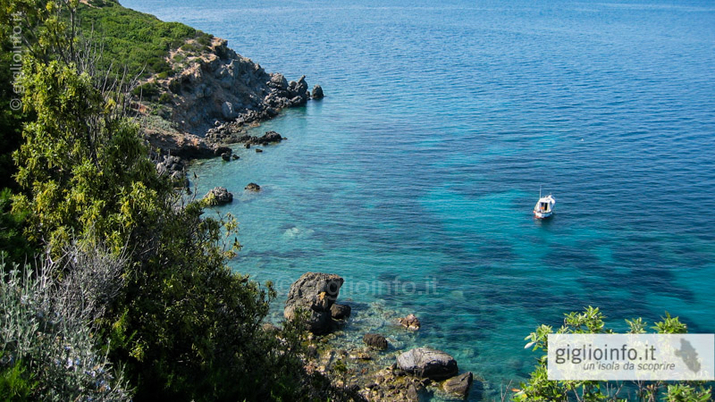 Wanderweg Giglio Campese al Faraglione