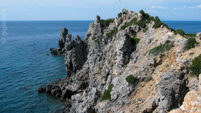 Sicht auf die Spitze Punta Faraglione Giglio Campese