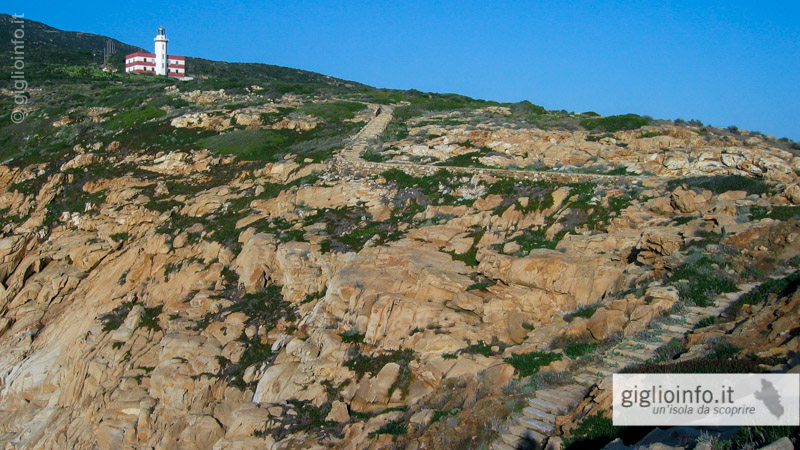 Sentiero Punta e Faro di Capel Rosso Isola del Giglio