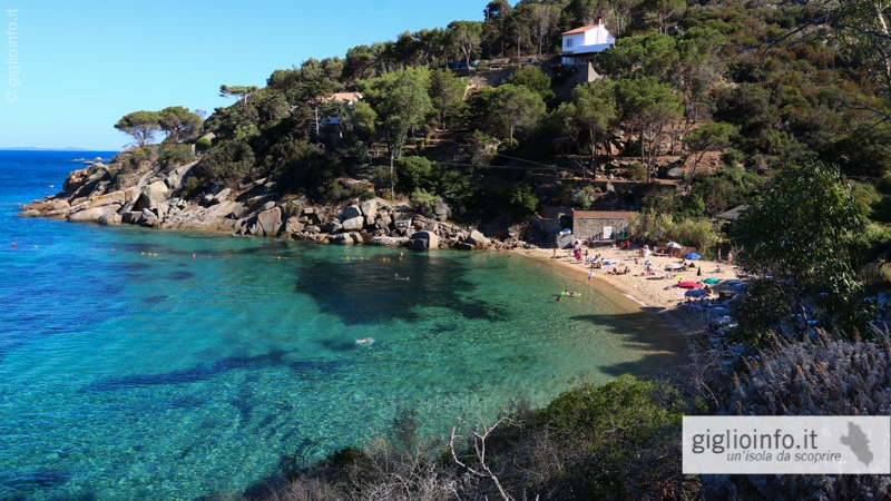 Caldane Strand Insel Giglio