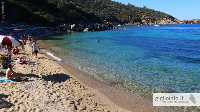 Caldane Strand Insel Giglio