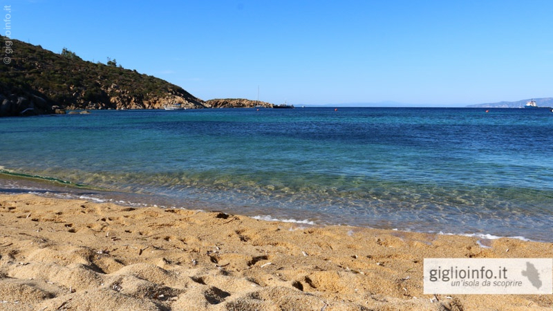 Caldane Strand Insel Giglio