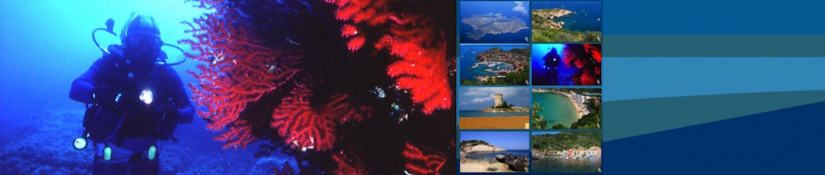 Tauchgang Insel Giglio mit roten Korallen