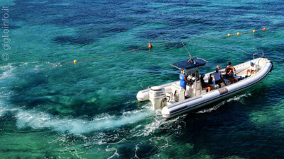 Taxi Boat Isola del Giglio