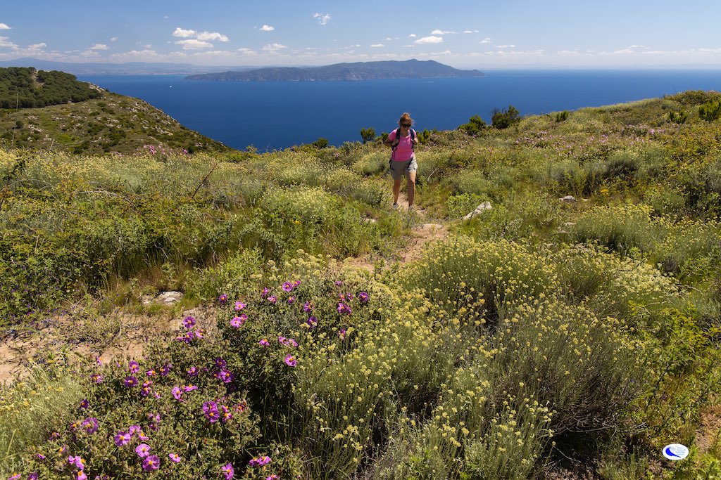 Isola del Giglio Trekking