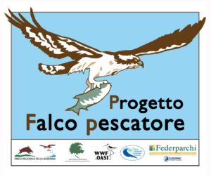 Progetto Falco Pescatore