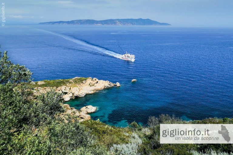 Traghetto in arrivo all'Isola del Giglio