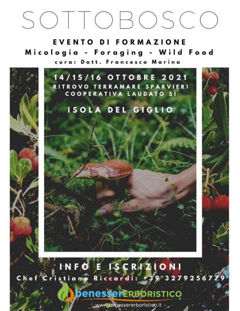 Locandina Evento Isola del Giglio: Sottobosco Terramare Ottobre 2021