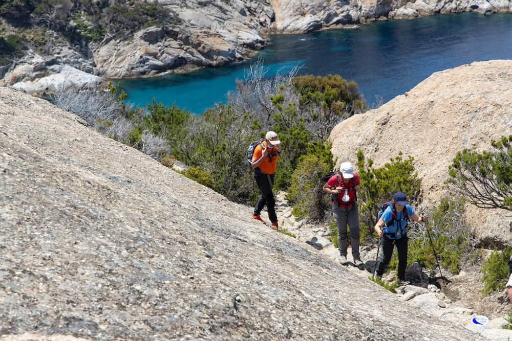 Gruppo di Persone che fa trekking all'Isola di Montecristo