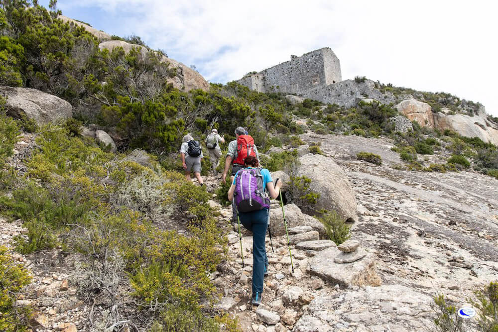 Gruppo di Persone che fa trekking all'Isola di Montecristo
