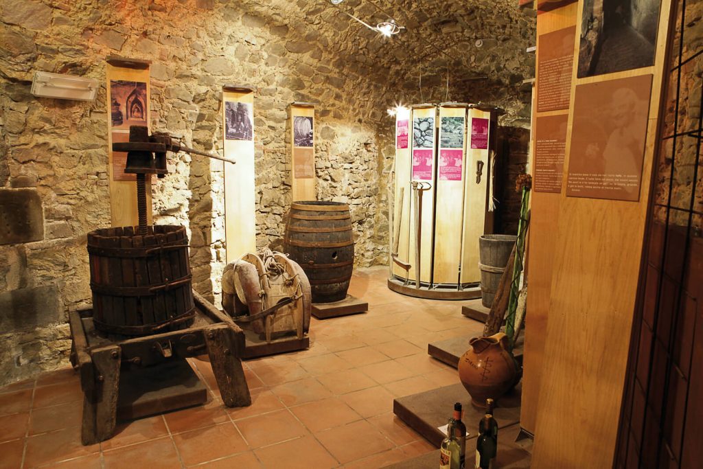 Museo della Vite e del Vino a Scansano