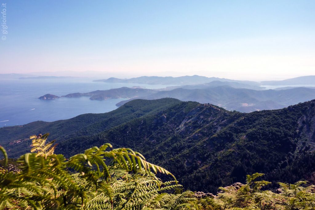 Isola dell'Elba