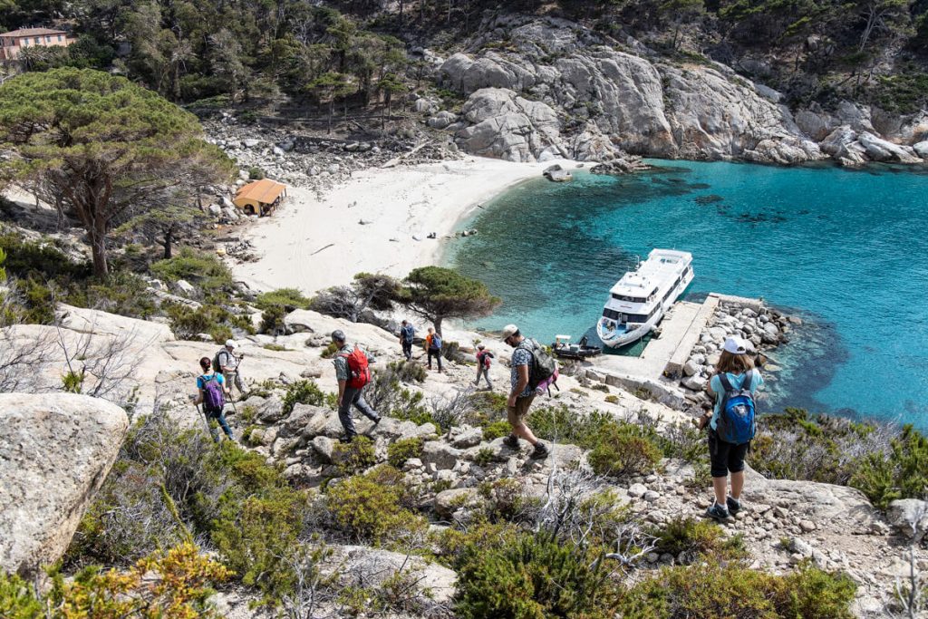Dicesa alla spiaggia di Cala Maestra, Isola di Montecristo, di un gruppo di escursionisti