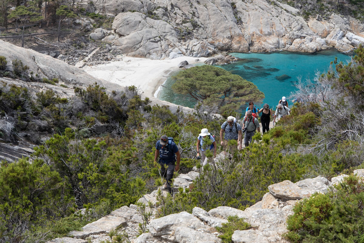Gruppo di escursionisti in salita dalla Cala Maestra sulla Isola di Montecristo