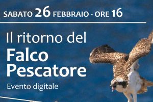 Locandina Evento il ritorno del Falco Pescatore il 26 febbraio 2022