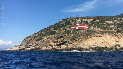 Punta del Nord con Faro del Fenaio, Isola del Giglio, Arcipelago Toscano