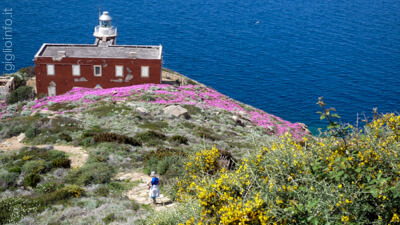 Sentiero verso il Faro del Fennaio, Isola del Giglio, Arcipelago Toscano