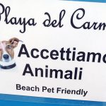 Segnaletica pet friendly Stabilimento Balneare La Playa del Carma, Spiaggia del Campese, Isola del Giglio