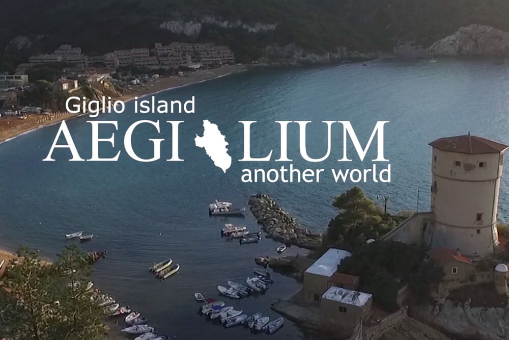 Agenzia Immobiliare Aegilium Logo con vista baia di Campese Isola del Giglio