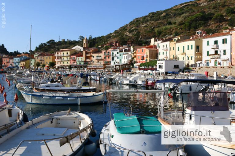 barche anocrate a Giglio Porto, Isola del Giglio