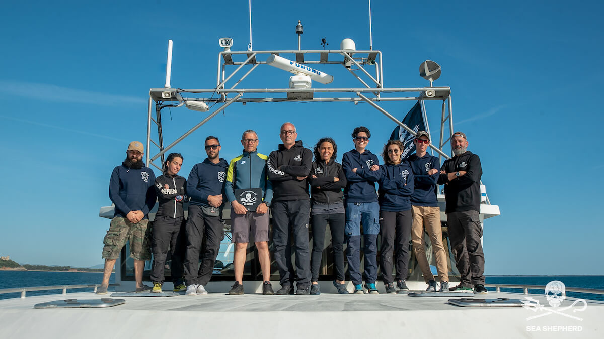 Gruppo Volantari Sea Shepherd