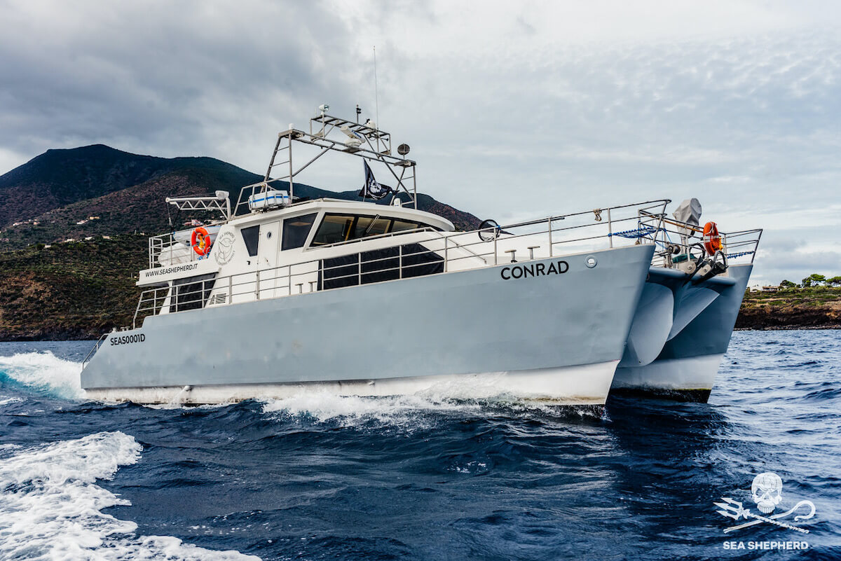 Sea Shepherd imbarcazione LM Conrad