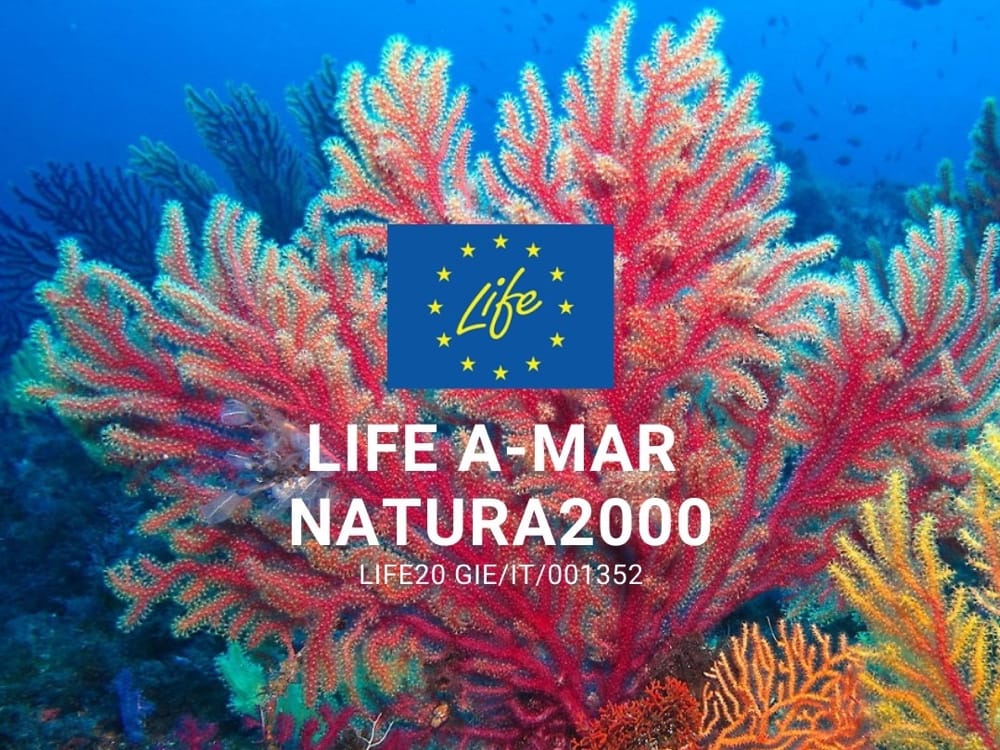 Progetto Life A-Mar Natura2000 Logo con Croalli