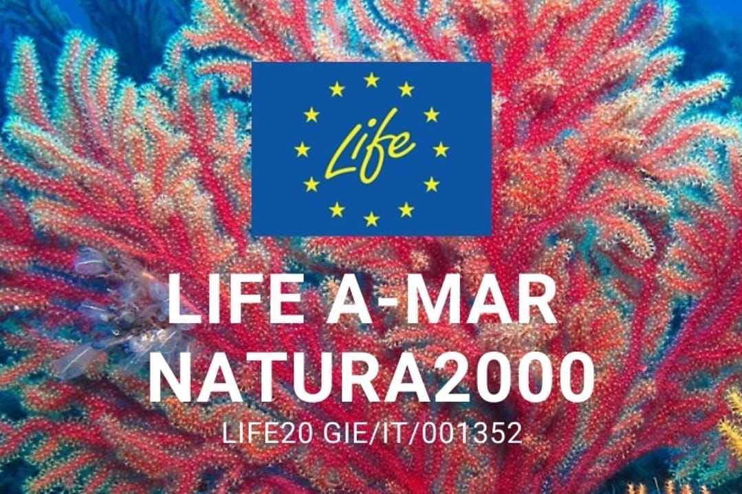 Progetto Life A-Mar Natura2000 Logo con Croalli