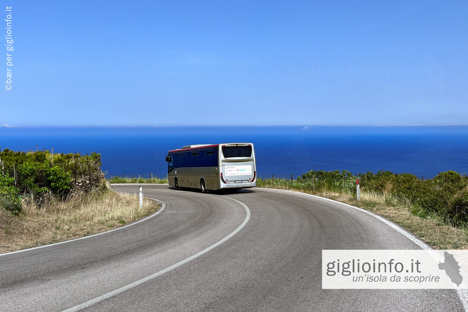 Autobus sulla strada da Giglio Castello tra vigneti e vista mare