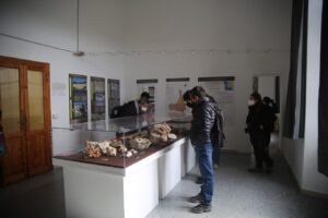 Sala del museo delle scienze all'Isola di Piannosa, Arcipelago Toscano