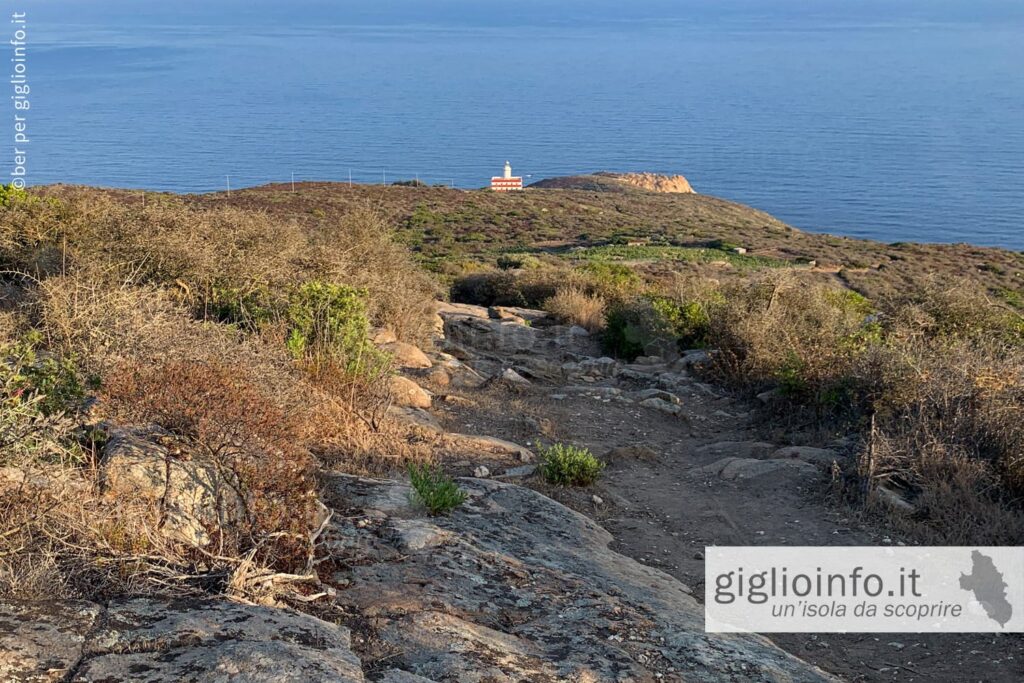 Sentiero verso il Faro della Punta di Capel Rosso all'Isola del Giglio