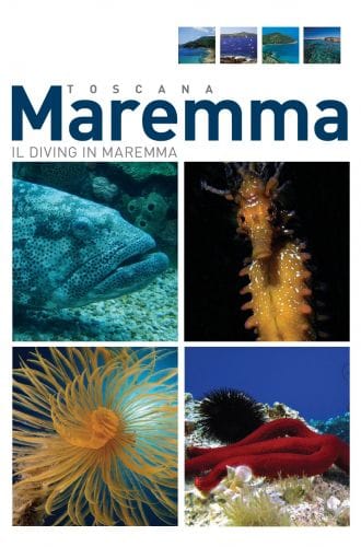 Guide il Diving in Maremma, Toscana