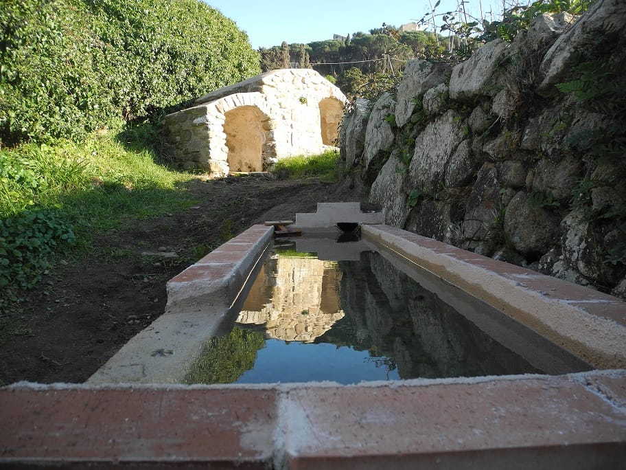 Vasca per Riproduzione del Discoglosso Sardo all'Isola del Giglio Castello