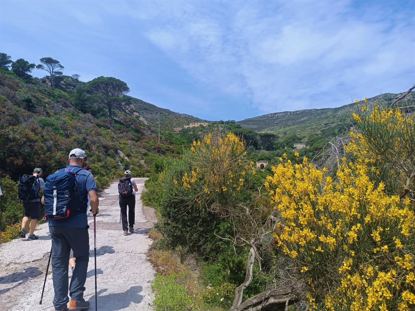 Gruppo che fa trekking all'Isola di Capraia su un sentiero verso Monte Castello