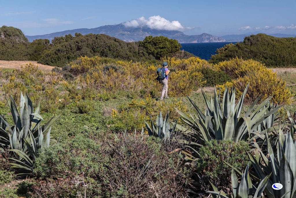 Donna che fa un'escursione di Trekking a Giannutri