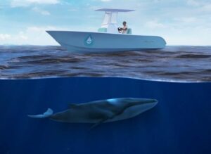 pelagos sanctuary nel metaverse