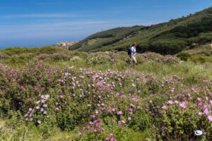 Persona che fa Trekking Isola del Giglio Loc. La Porta in primavera