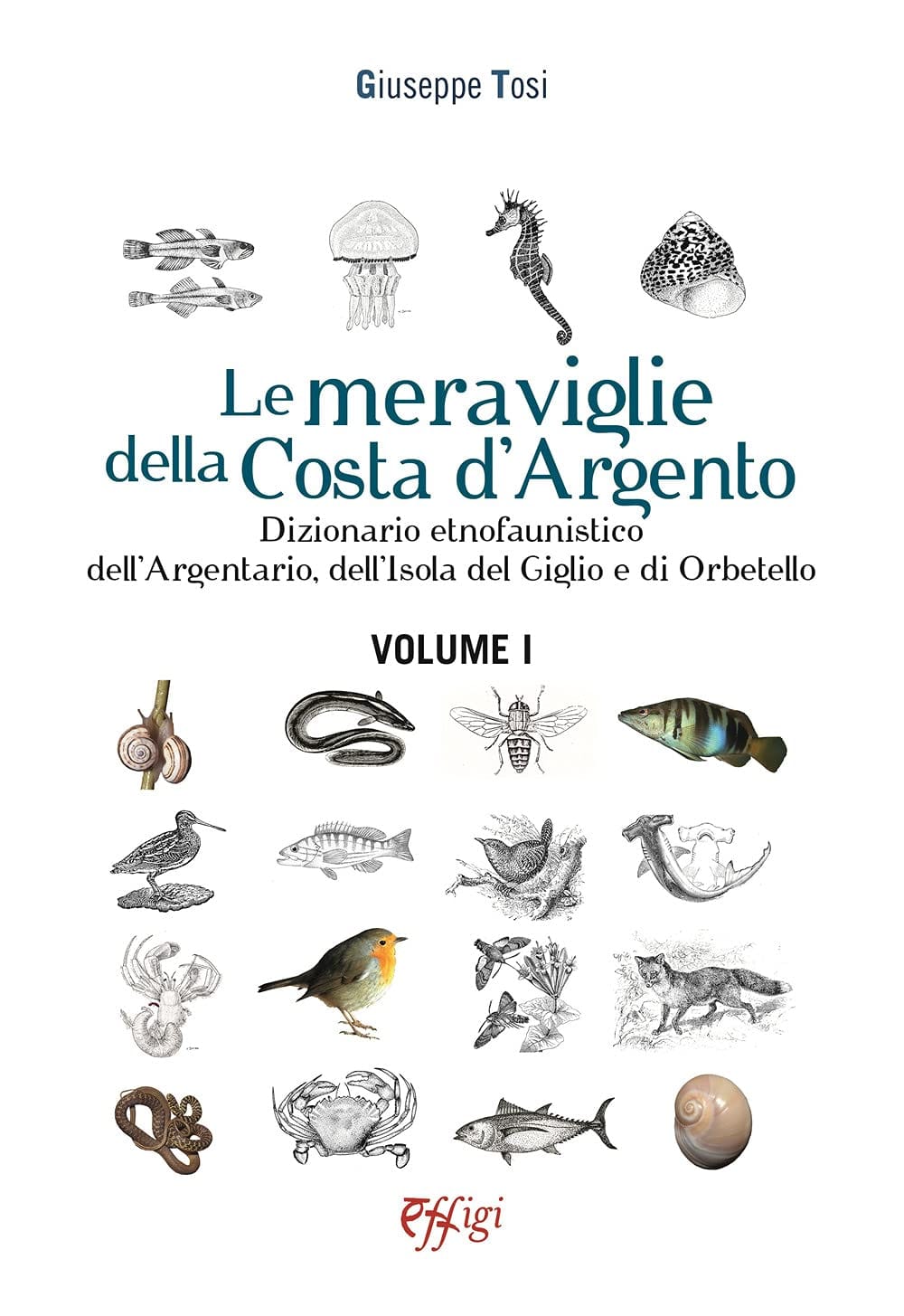 Copertina libro Le Meraviglie della Costa d'Argento