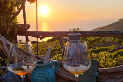 Degustazione di Vino al Tramonto presso Azienda Agricola Castellari Isola del Giglio