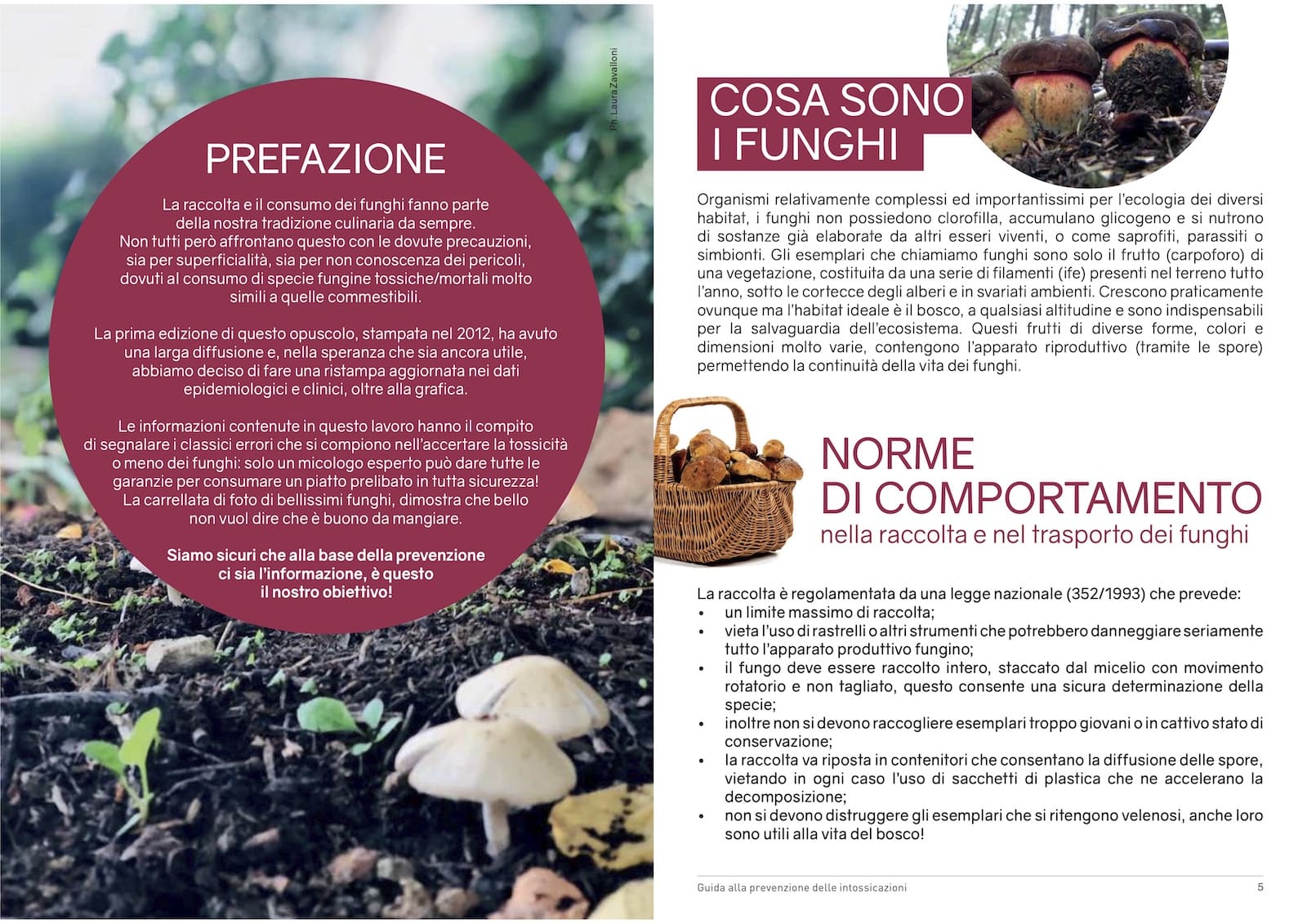Opuscolo informativo sulla raccolta e sul consumo dei funghi epigei